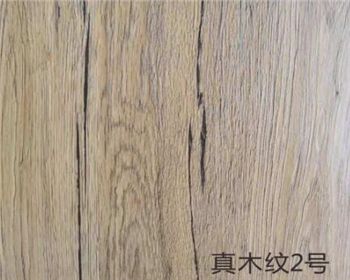 真木紋2號(hào)